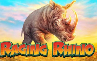 raging rhino slot